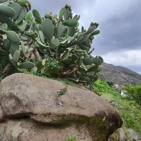 בית נופש Casa Chouza Ézaro